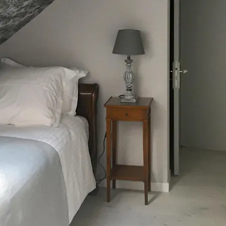 Pet Friendly In